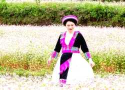 Giới trẻ rủ nhau lên miền đá, sống trọn khoảnh khắc giữa biển hoa tam giác mạch