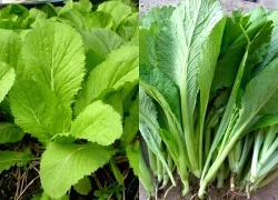 Loại rau cay nồng cực bổ tim lại chống lão hóa, giá chỉ vài nghìn đồng ở chợ