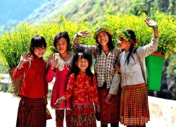 Lũng Cẩm Sức hút du lịch giữa Cao nguyên đá Đồng Văn