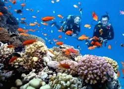 Mở lại tuyến du lịch sinh thái Sở Rẫy - Ông Đụng