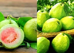 Ổi là 'kho dinh dưỡng' cho sức khỏe nhưng có thể 'đại kỵ' với những người này