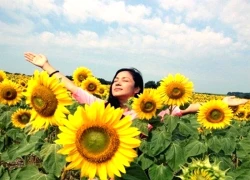 Sư Tử cảm thấy ức chế, Bọ Cạp bị nhấn chìm trong mớ cảm xúc tồi tệ ngày 13/11