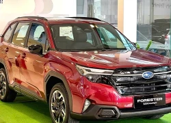 Subaru Forester 2026 trình làng thị trường Việt - đối thủ cạnh tranh Mazda CX-5, Honda CR-V