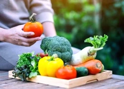 Tại sao rau củ, ngũ cốc nguyên hạt và đậu là nền tảng bữa ăn lành mạnh?