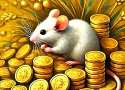 Tử vi 3 con giáp may mắn nhất thứ Năm (13/11): Cuộc đời dư dả, tiền của đầy nhà