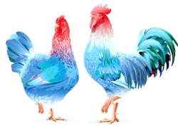 Tử vi 3 con giáp may mắn nhất thứ Sáu (14/11): Giàu sang phú quý nhân đôi, của cải tăng gấp bội