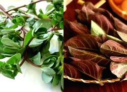 2 loại rau ít 'ngậm' thuốc trừ sâu nhất chợ, nhiều người không biết mà mua