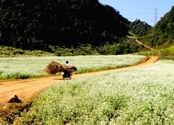 5 điểm du lịch miền Bắc lạnh giá nhưng đẹp quên lối về