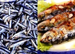 6 loại cá bổ dưỡng nên có trong bữa ăn hàng ngày