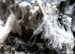 Australia: Hàng chục trường học phải đóng cửa do lo ngại chất độc