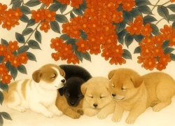 Báo động đỏ tuần mới: 3 con giáp cẩn thận "vạ miệng gây họa", tiền bạc dễ mất, có 1 con giáp nên ở yên trong nhà!