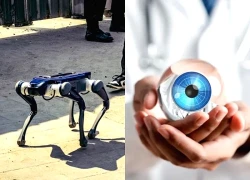 Các nhà khoa học tạo ra mắt robot có thị lực hơn cả con người