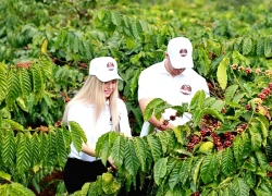 Cao nguyên Gia Lai vào mùa du lịch