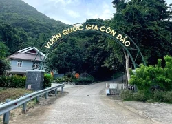 Cây cầu 'rùng rợn' ở Côn Đảo đón khách trở lại