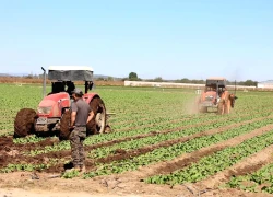 Cuộc cạnh tranh khoáng sản quan trọng mới tiếp theo trên toàn cầu