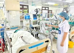 Đang dọn dẹp nhà, người đàn ông 45 tuổi bị con vật quen thuộc đốt nguy kịch