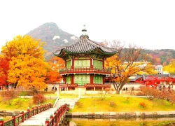 Gyeongbokgung - Trái tim mùa thu Seoul