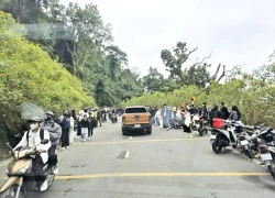 Hơn 15.000 người đổ về Ba Vì ngắm hoa dã quỳ vào ngày cuối tuần