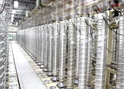Iran khẳng định hiện không làm giàu urani tại các cơ sở hạt nhân