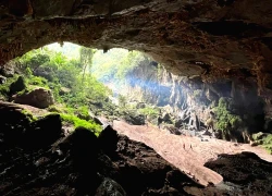 Khám phá Bách xanh đá-hang Kling