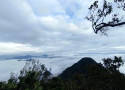 Khám phá gần 2km đường rừng mạo hiểm chinh phục đỉnh Pù Luông ở Thanh Hóa