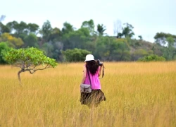 Mùa săn ảnh trên đồi cỏ ở cung đường 706B Phan Thiết