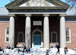 Mức giảm sâu số sinh viên quốc tế gây thiệt hại kinh tế 1,1 tỷ USD cho Mỹ