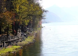 Nami mùa thu - Một trời lá vàng, một trời yêu