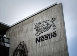 Nestlé bị chỉ trích khi tăng lượng đường trong ngũ cốc cho trẻ em châu Phi