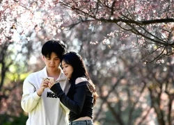 Những cặp đôi cung hoàng đạo dễ phải lòng nhau ngay từ khoảnh khắc lần đầu gặp