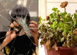 Ông bà xưa dặn: Để 3 món này trong nhà chẳng khác nào "mời vận xấu" gõ cửa mỗi ngày