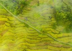 Pù Luông trong sương: "Sa Pa xứ Thanh" mê hoặc lòng người