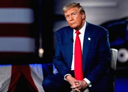 Tổng thống Trump chi hàng chục triệu USD gom trái phiếu