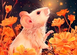 Trong 3 ngày đầu tuần (17/11 - 19/11), 3 con giáp vận đỏ như son, tiền tự tìm đến