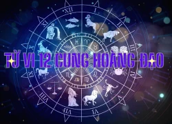 Tử vi ngày 16/11/2025 của 12 cung hoàng đạo: Song Tử sự nghiệp tốt đẹp, tình cảm êm đềm