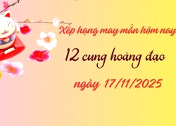 Xếp hạng may mắn tử vi 12 cung hoàng đạo ngày 17/11/2025: Ma Kết và Song Ngư đứng đầu bảng
