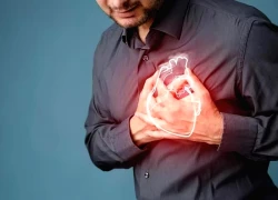 Vi khuẩn đường ruột ảnh hưởng đến bệnh tim