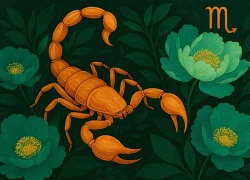 Vũ trụ "mở cửa phát lộc": 3 cung hoàng đạo hưởng trọn may mắn ngày 19/11