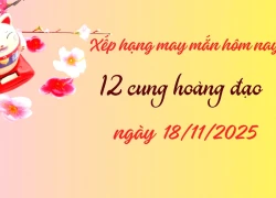 Xếp hạng may mắn tử vi 12 cung hoàng đạo ngày 18/11/2025: 2 cung có 1 ngày "hết nước chấm"