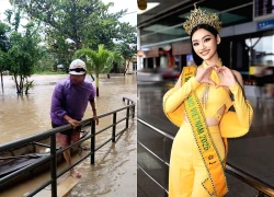 Bố Hoa hậu Yến Nhi đuối sức, bị lật xuồng trong lũ hiện ra sao?