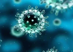 Tiêm chủng đầy đủ, chặn nguy cơ bại liệt cho trẻ