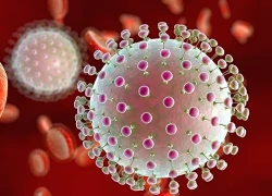 Cảnh báo viêm não Nhật Bản gia tăng ở trẻ 3-5 tuổi