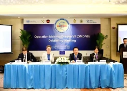 Chiến dịch Con Rồng Mê Kông 7 thu giữ 11,8 tấn ma túy