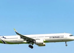 Hãng hàng không Hàn Quốc nối lại đường bay Busan Hà Nội