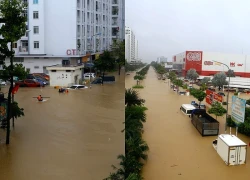 Hình ảnh thắt lòng ở Nha Trang: Hàng nghìn ô tô chìm trong nước lũ