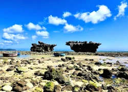 Hòn Đỏ Ninh Thuận: Ngắm san hô trên cạn và săn mùa rêu xanh