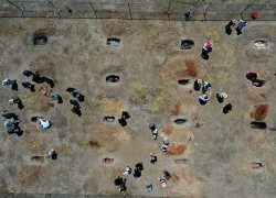 Khi lợn chết trở thành chìa khóa lần tìm nạn nhân của các băng đảng tội phạm Mexico