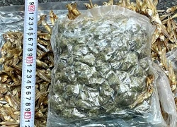 Lật tẩy thủ đoạn chuyển cần sa từ Thái Lan về Việt Nam, thu hơn 1 tấn tang vật