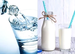 Loại thức uống giảm chứng ợ nóng, hỗ trợ tiêu hóa thiệu quả