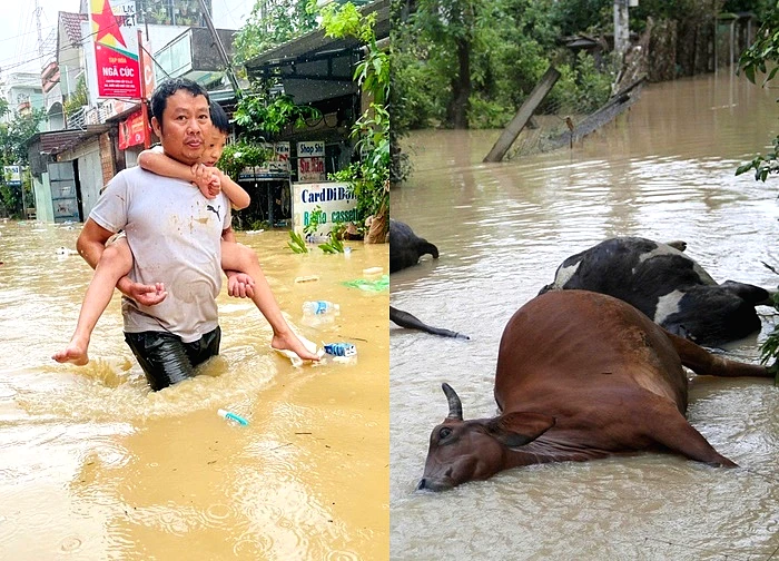 Mưa lũ khiến 50 người chết và mất tích, 52.000 nhà đang bị ngập